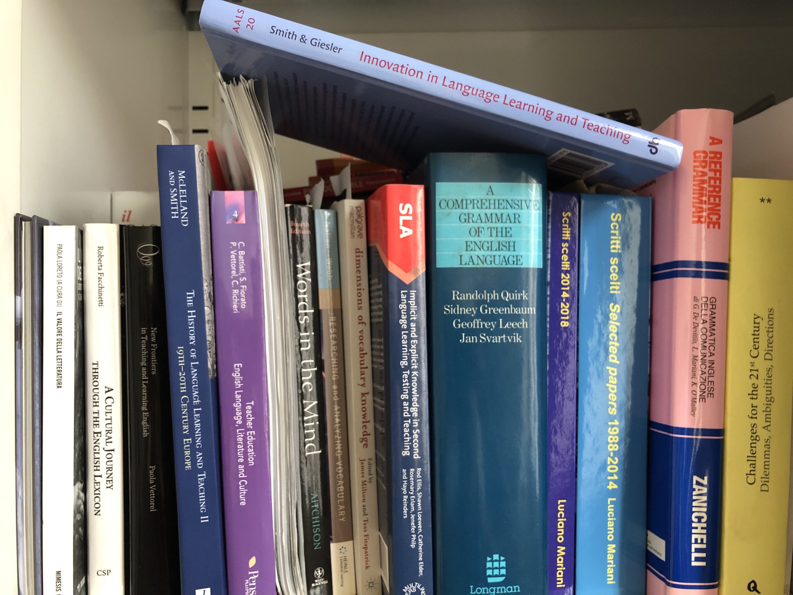 A close-up of books about English language learning and teaching, standing on a shelf.